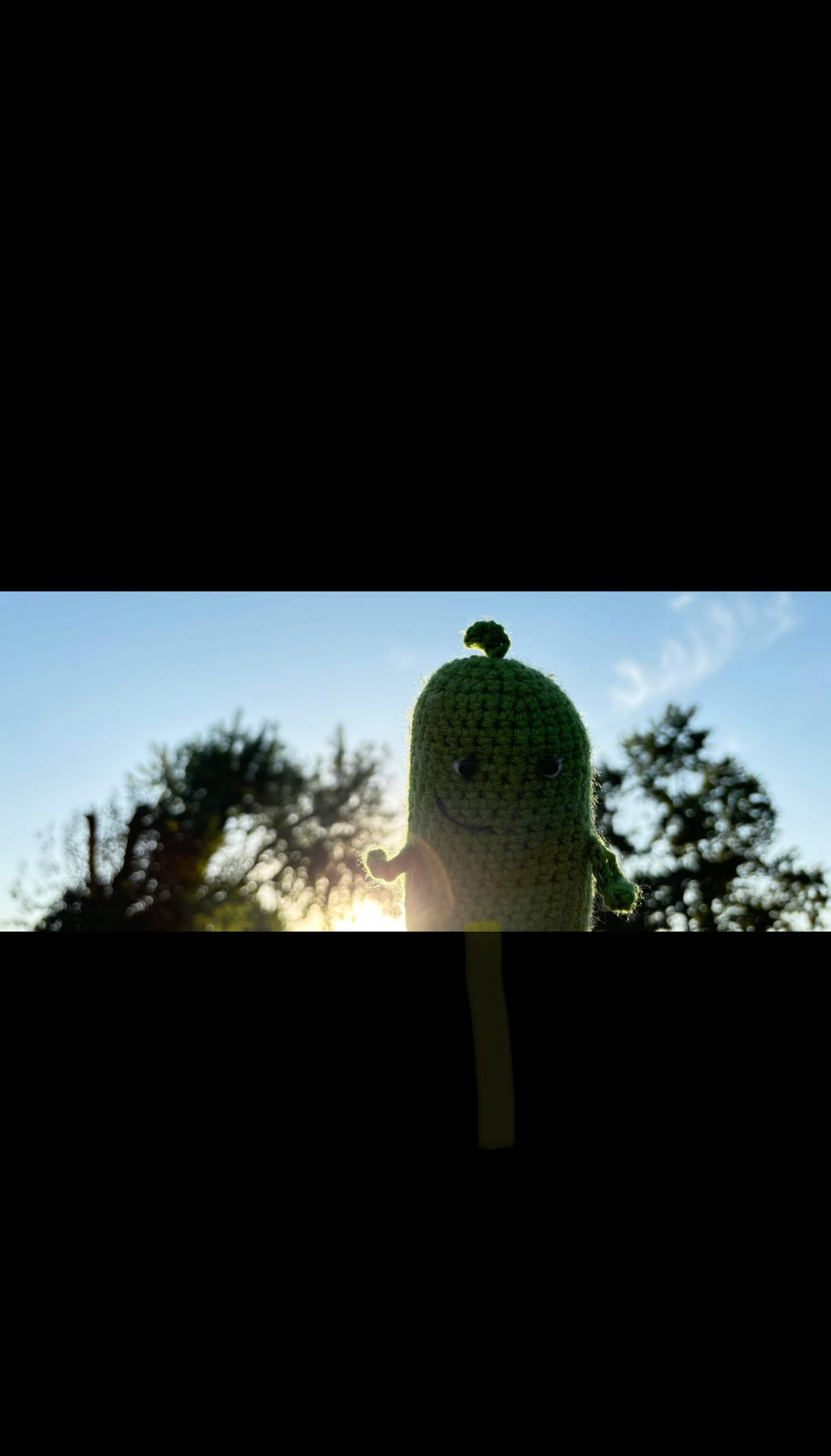 🥒 Crochet Emotional Support Pickle – “You’re a Big Dill!”